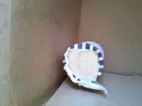 20140819_114714.webp
