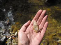 DSCF3195.webp