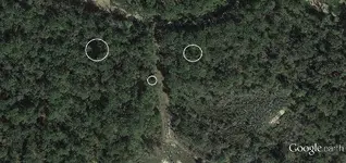 Scout%20Viewdowsed.webp