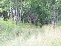 100_3337.webp
