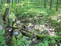 100_3351.webp