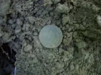 100_3349.webp