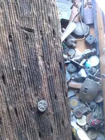 CAM00053.webp
