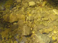 DSCF3194.webp