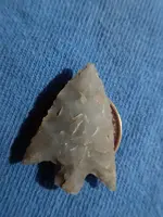 PA221335.webp