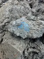 5.Tombac in dirt.webp