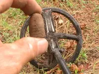 oak island 005.webp