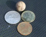 coins.webp