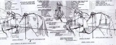 artillery_horses_near.webp