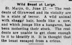 wild beast.webp