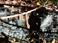 FSCN1632.webp FSCN1632.webp