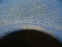 Middle_cleanup_riffel.webp