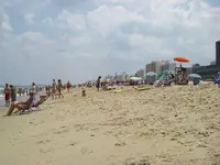 Picture 011.webp