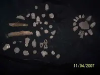 new_our finds 11-04.webp