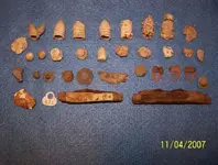 new_tims finds 11-04.webp