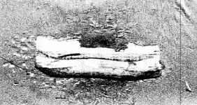 side scan bow and debris.webp