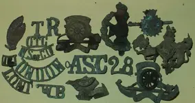 Capbadges.webp