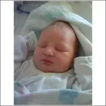 loryn1.webp