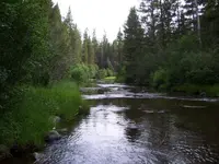 100_0734.webp