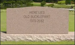tombstone.webp