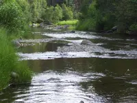 100_0735.webp