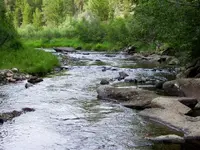 100_0737.webp