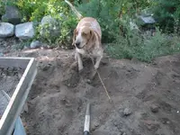 crawl space 003.webp