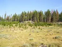 100_0763.webp