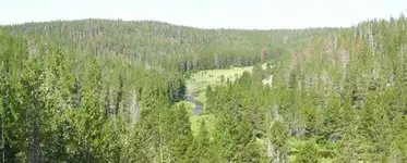 100_0770.webp