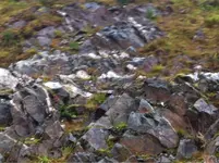 image-4132685950.webp