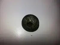 eagle button no.webp