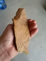 knife back web.webp