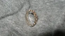 Ring Number 12 and Assorted Clad Sept. 17 2014 001.webp