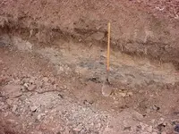 obsidian vein.webp obsidian vein.webp