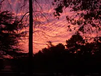 003.webp