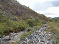 down the creek.gif