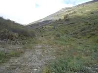 up the creek.webp