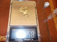 gold on scales 2.gif