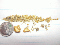 2014 placer gold 1.gif