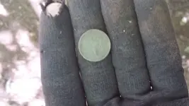Wheatie.webp