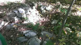IMAG0610.webp