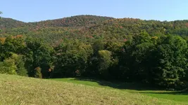 IMAG0611_BURST002.webp