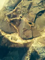 rock3.webp
