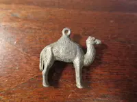110114Camel.webp