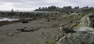 DSCN5758.webp DSCN5758.webp