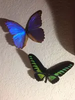 image-2528540068.webp