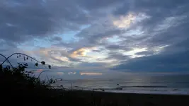 DSCN5191.webp