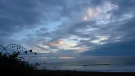 DSCN5193.webp