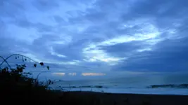 DSCN5197.webp