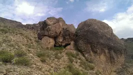 IMAG0436.webp